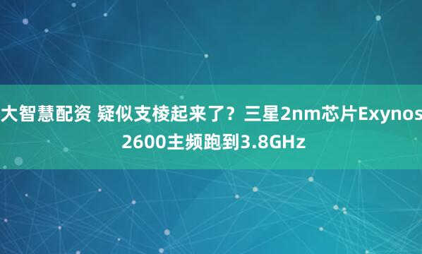 大智慧配资 疑似支棱起来了？三星2nm芯片Exynos 2600主频跑到3.8GHz